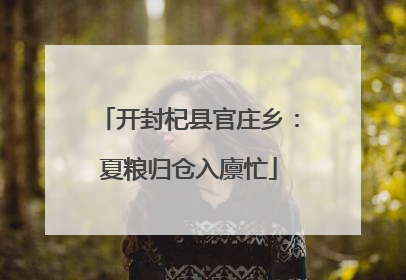 开封杞县官庄乡：夏粮归仓入廪忙