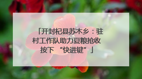 开封杞县苏木乡：驻村工作队助力夏粮抢收按下 “快进键”