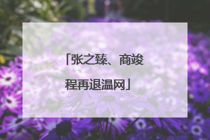 张之臻、商竣程再退温网