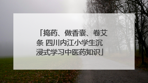 捣药、做香囊、卷艾条 四川内江小学生沉浸式学习中医药知识