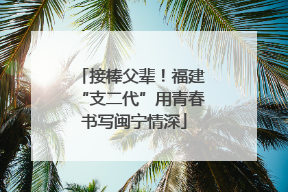 接棒父辈！福建“支二代”用青春书写闽宁情深
