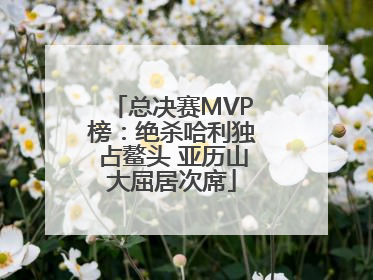 总决赛MVP榜：绝杀哈利独占鳌头 亚历山大屈居次席