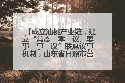 成立油桃产业链，建立“常态一季一议、要事一事一议”联席议事机制，山东省日照市莒县果庄镇——13个党小组“全周期”育果