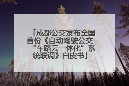 成都公交发布全国首份《自动驾驶公交“车路云一体化”系统联调》白皮书