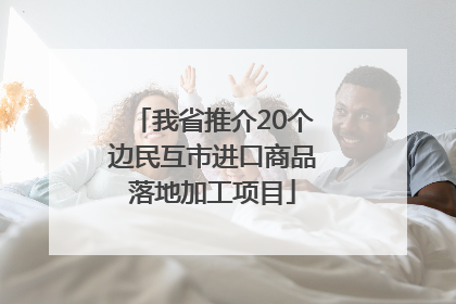 我省推介20个边民互市进口商品落地加工项目