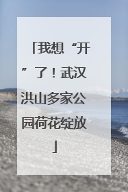 我想“开”了！武汉洪山多家公园荷花绽放