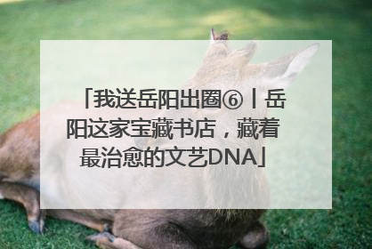 我送岳阳出圈⑥丨岳阳这家宝藏书店，藏着最治愈的文艺DNA