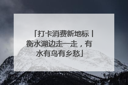 打卡消费新地标丨衡水湖边走一走，有水有鸟有乡愁