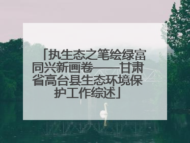 执生态之笔绘绿富同兴新画卷——甘肃省高台县生态环境保护工作综述