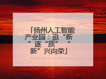 扬州人工智能产业园：追“新”逐“质” “新”兴向荣