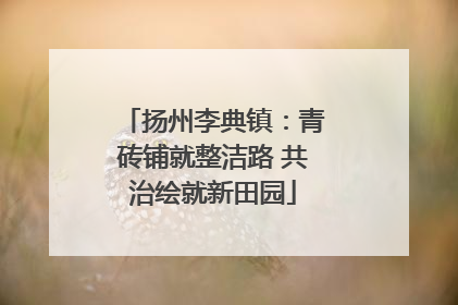 扬州李典镇：青砖铺就整洁路 共治绘就新田园
