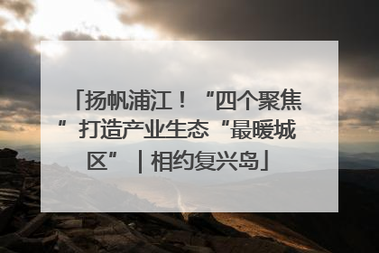 扬帆浦江！“四个聚焦”打造产业生态“最暖城区”｜相约复兴岛