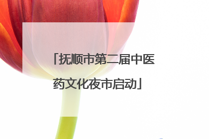抚顺市第二届中医药文化夜市启动