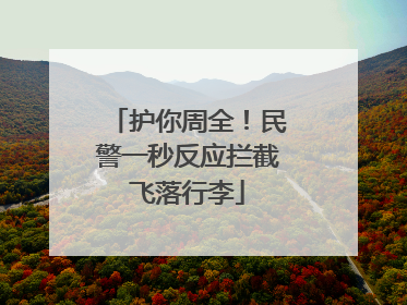 护你周全！民警一秒反应拦截飞落行李