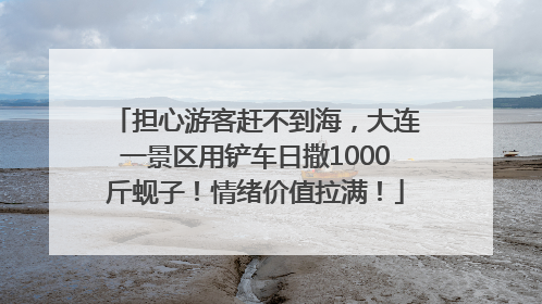 担心游客赶不到海，大连一景区用铲车日撒1000斤蚬子！情绪价值拉满！