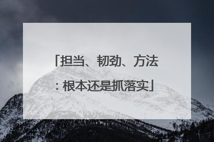 担当、韧劲、方法：根本还是抓落实