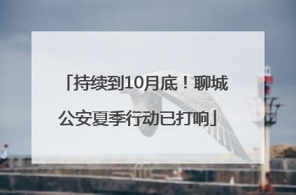 持续到10月底！聊城公安夏季行动已打响