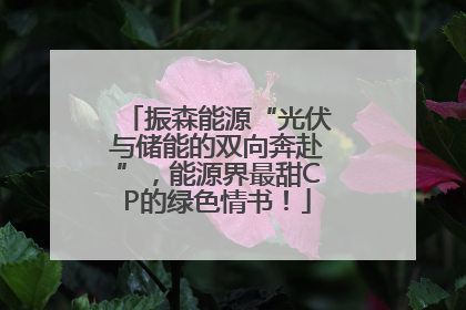 振森能源“光伏与储能的双向奔赴”，能源界最甜CP的绿色情书！