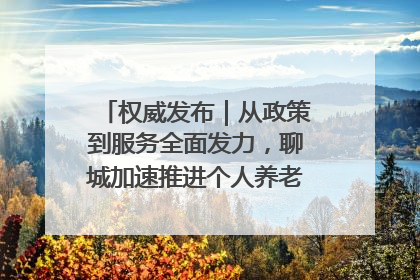 权威发布｜从政策到服务全面发力，聊城加速推进个人养老金制度落地