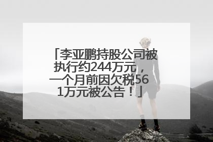李亚鹏持股公司被执行约244万元，一个月前因欠税561万元被公告！