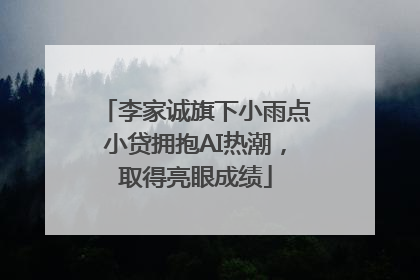 李家诚旗下小雨点小贷拥抱AI热潮，取得亮眼成绩