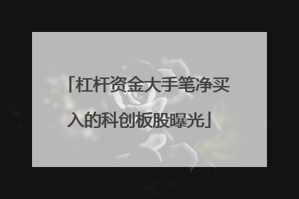 杠杆资金大手笔净买入的科创板股曝光