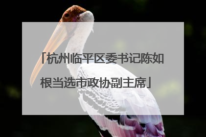 杭州临平区委书记陈如根当选市政协副主席