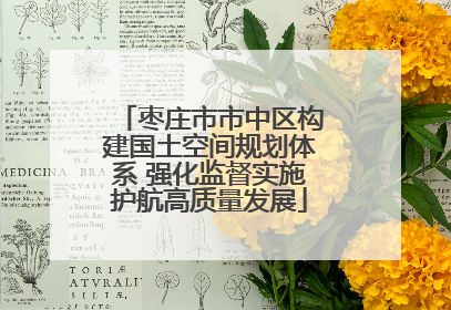 枣庄市市中区构建国土空间规划体系 强化监督实施护航高质量发展