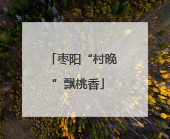 枣阳“村晚”飘桃香