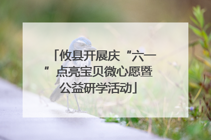 攸县开展庆“六一”点亮宝贝微心愿暨公益研学活动