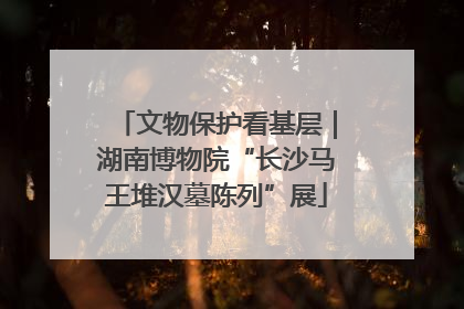 文物保护看基层｜湖南博物院“长沙马王堆汉墓陈列”展