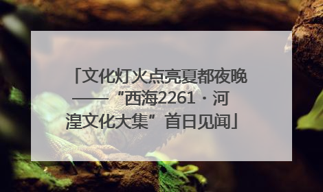 文化灯火点亮夏都夜晚——“西海2261・河湟文化大集”首日见闻