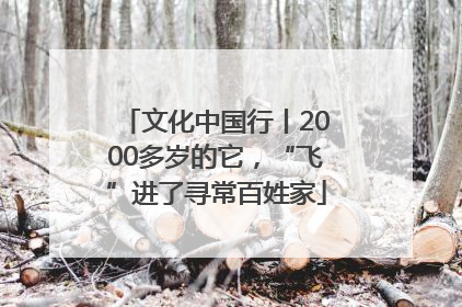 文化中国行丨2000多岁的它，“飞”进了寻常百姓家