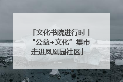 文化书院进行时丨“公益+文化”集市走进凤凰园社区