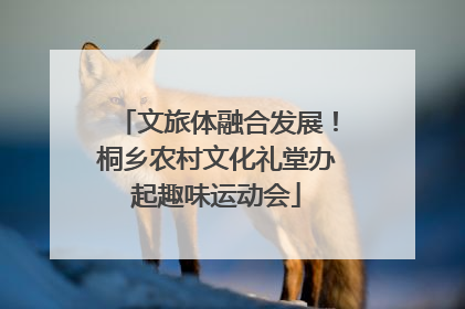文旅体融合发展！桐乡农村文化礼堂办起趣味运动会