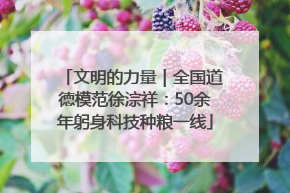 文明的力量｜全国道德模范徐淙祥：50余年躬身科技种粮一线