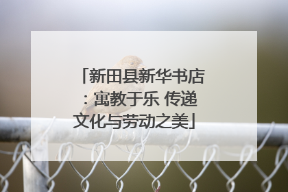 新田县新华书店：寓教于乐 传递文化与劳动之美