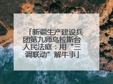 新疆生产建设兵团第九师乌拉斯台人民法庭：用“三调联动”解牛事