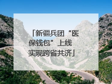 新疆兵团“医保钱包”上线 实现跨省共济