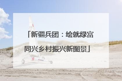 新疆兵团：绘就绿富同兴乡村振兴新图景