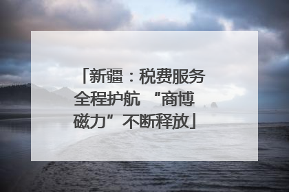 新疆：税费服务全程护航 “商博磁力”不断释放
