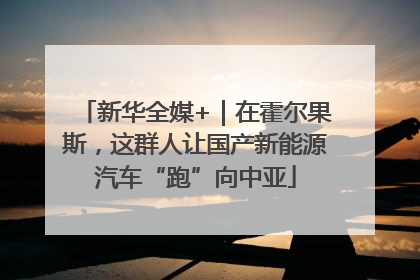 新华全媒+｜在霍尔果斯，这群人让国产新能源汽车“跑”向中亚