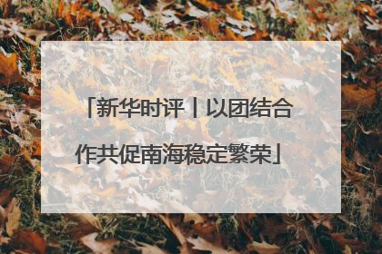 新华时评丨以团结合作共促南海稳定繁荣