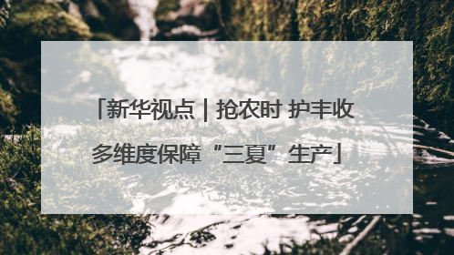 新华视点｜抢农时 护丰收 多维度保障“三夏”生产