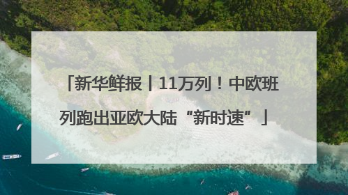 新华鲜报丨11万列！中欧班列跑出亚欧大陆“新时速”