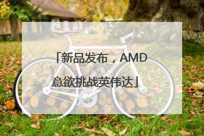 新品发布，AMD意欲挑战英伟达