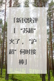 新民快评丨“苏超”火了，“沪超”何时接棒