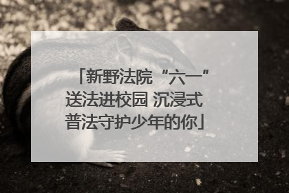 新野法院“六一”送法进校园 沉浸式普法守护少年的你