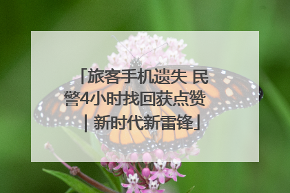 旅客手机遗失 民警4小时找回获点赞｜新时代新雷锋