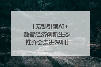 无锡引领AI+数智经济创新生态推介会走进深圳